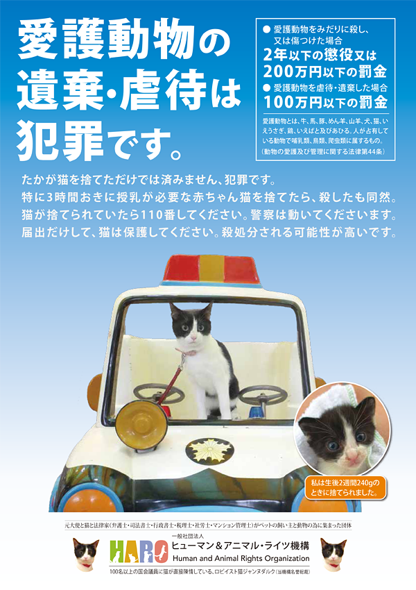 KIT③ポスター「遺棄は犯罪。たかが猫を捨てただけでは済みません。」貼付・配布　20枚
