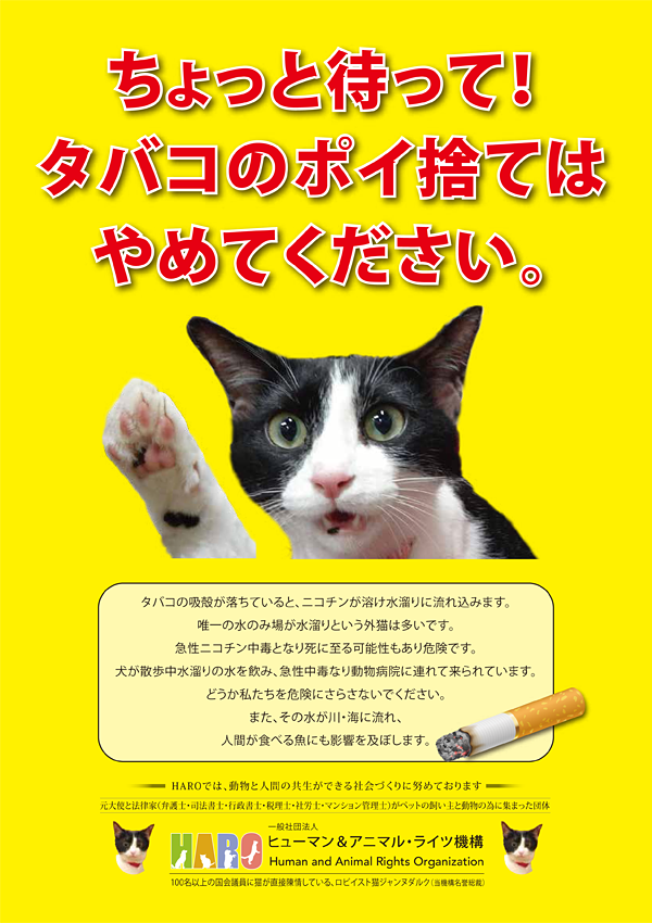 ①「たばこのポイ捨て禁止　水たまりの水で命をつないでいる猫のために」プロジェクト